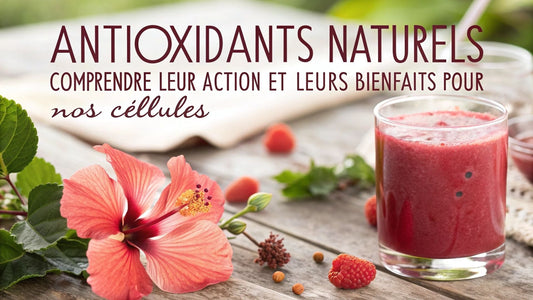 Antioxydants naturels : comprendre leur action et leurs bienfaits pour nos cellules