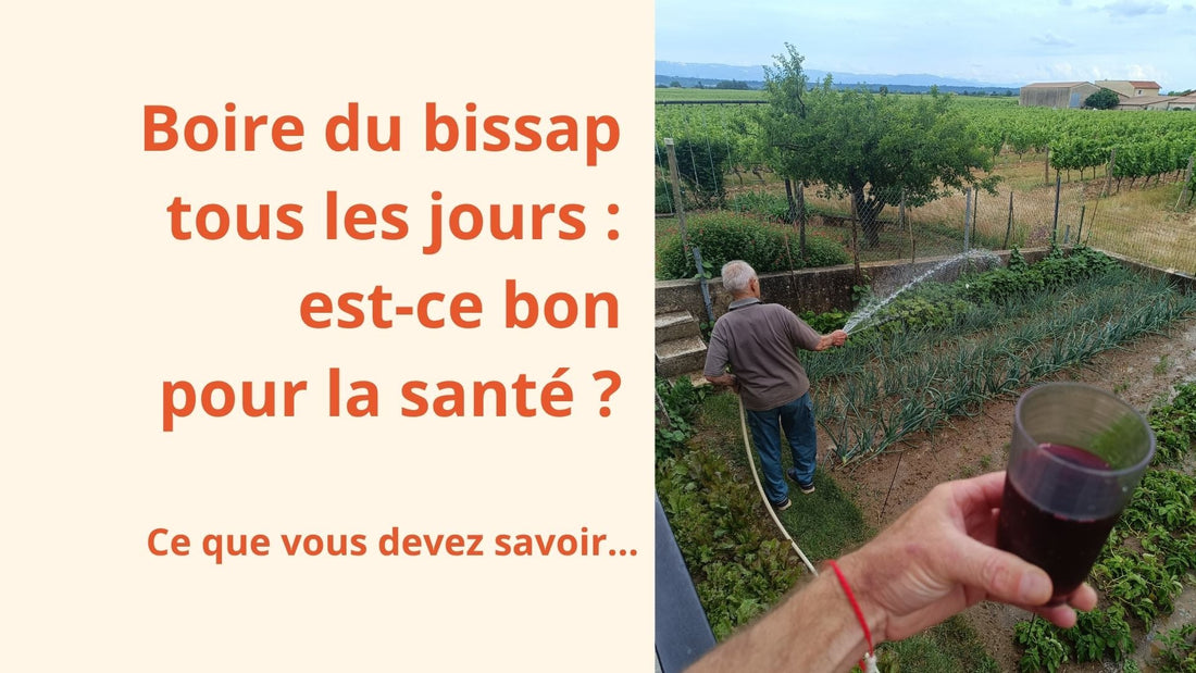 Boire du bissap tous les jours : est-ce bon pour la santé ?
